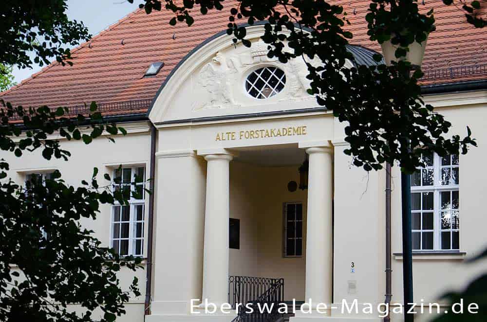 Du betrachtest gerade Alte Forstakademie in Eberswalde