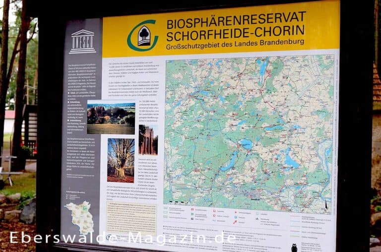 Mehr über den Artikel erfahren Biosphärenreservat Schorfheide-Chorin