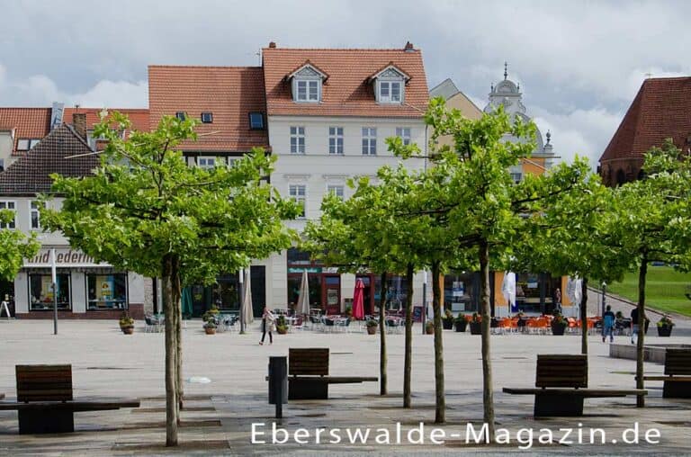 Mehr über den Artikel erfahren Stadt Eberswalde – die Waldstadt mit viel Natur, industrieller Geschichte und morderner Kultur