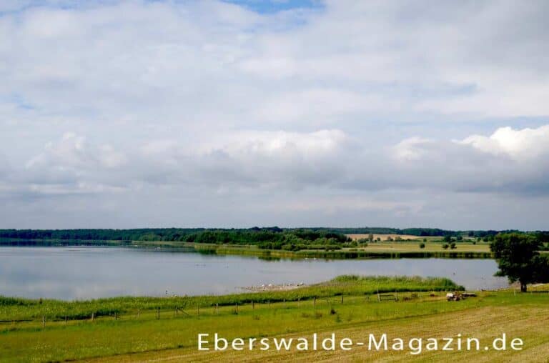 Mehr über den Artikel erfahren Grimnitzsee