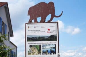 Mehr über den Artikel erfahren Geopark Groß Ziethen