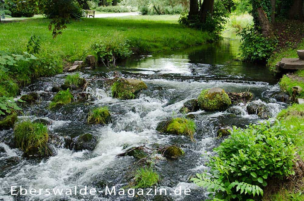 Du betrachtest gerade Wasserfall Eberswalde – ein Naturerlebnis trifft auf Kunst und Geschichte