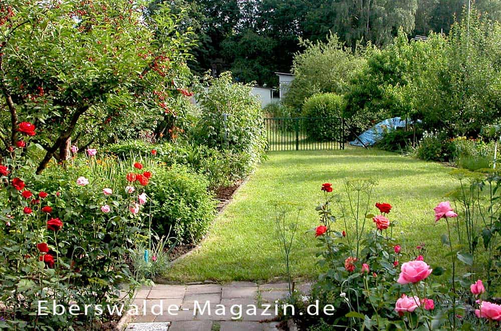 Du betrachtest gerade Kleingartenanlagen in Eberswalde