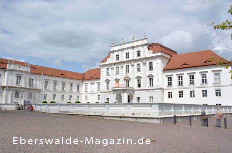 Mehr über den Artikel erfahren Ausflug nach Oranienburg