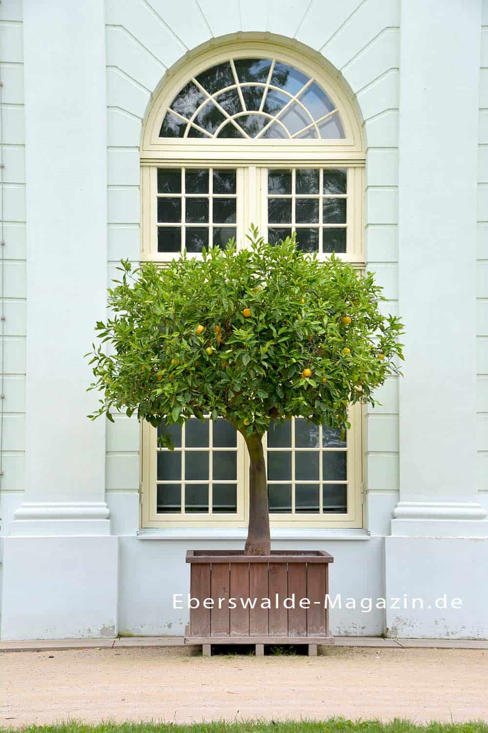 Orangerie im Schlosspark vom Oranienburger Schloss Orangerie im Schlosspark vom Oranienburger Schloss