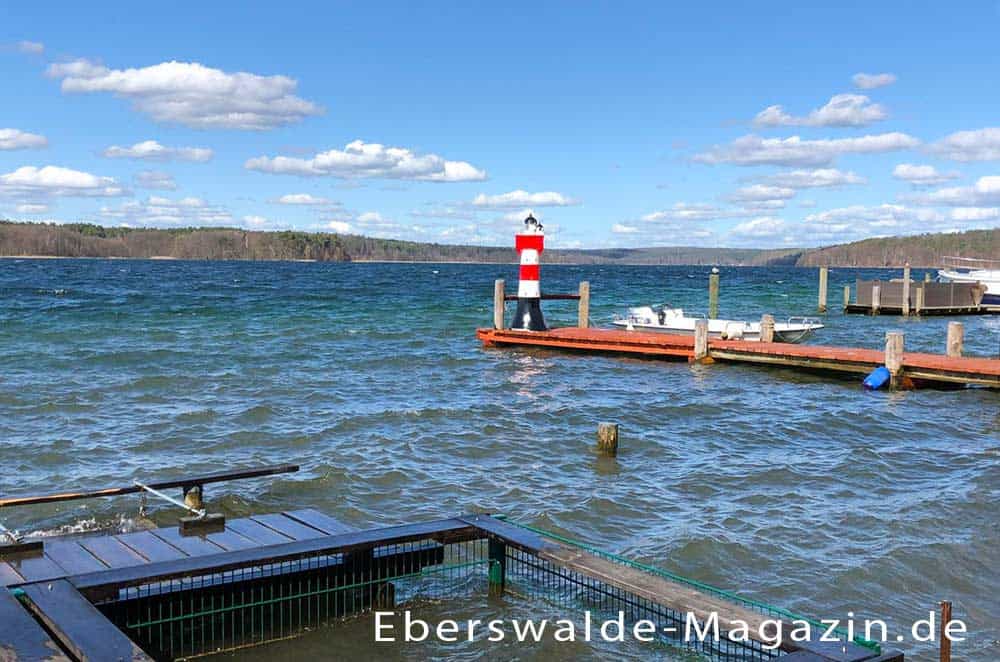 Der Werbellinsee bei Altenhof