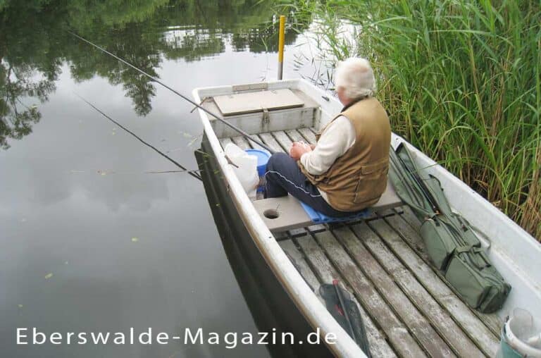 Mehr über den Artikel erfahren Angeln in Eberswalde – Die besten Angelgewässer und Tipps auf einen Blick