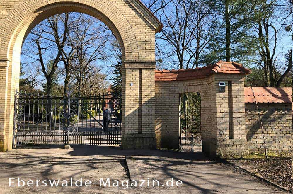 Du betrachtest gerade Friedhof Eberswalde – Überblick zu den wichtigsten Ruhestätten der Stadt