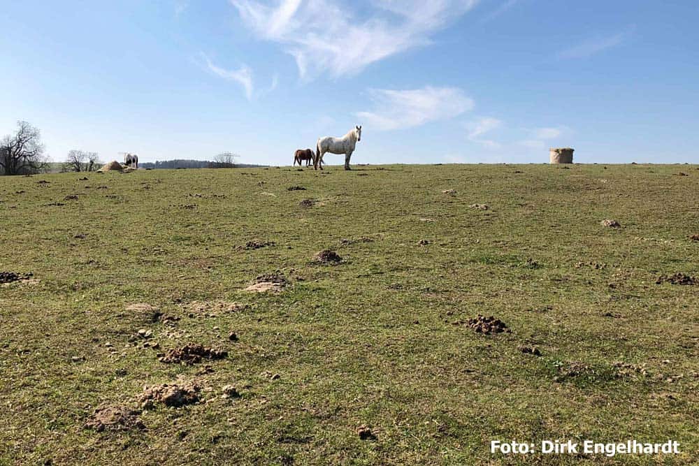 Das Ökodorf Brodowin mit biologisch-nachhaltiger Landwirtschaft