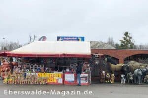 Mehr über den Artikel erfahren Der Polenmarkt Hohenwutzen