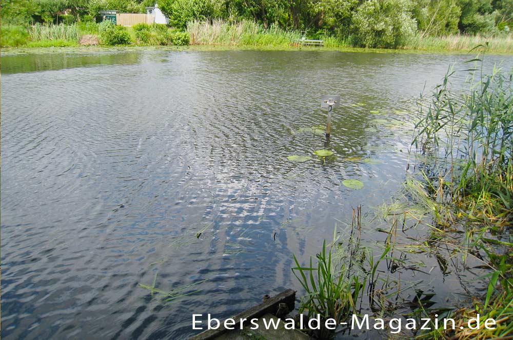 Der Finowkanal im Urstromtal Der Finowkanal im Urstromtal