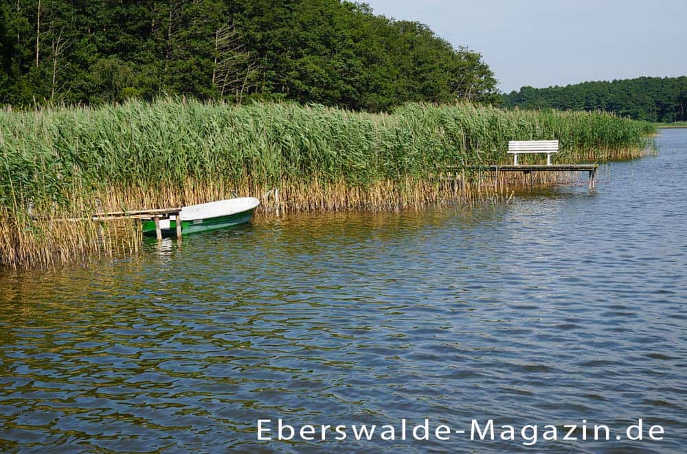 Naturpark Barnim mit Wandlitzsee Naturpark Barnim mit Wandlitzsee