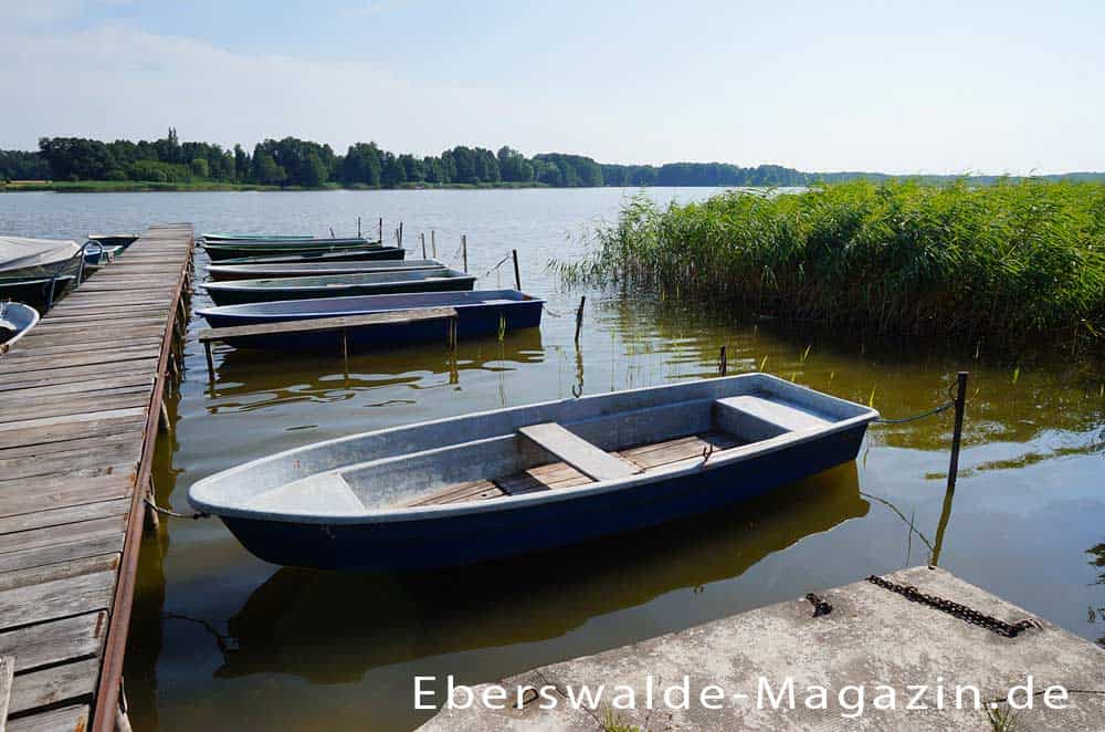 Naturpark Barnim mit Wandlitzsee Naturpark Barnim mit Wandlitzsee