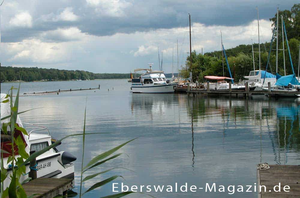 Yachthafen des Sportvereins Stahl Finow e.V., Yachthafen des Sportvereins Stahl Finow e.V.,