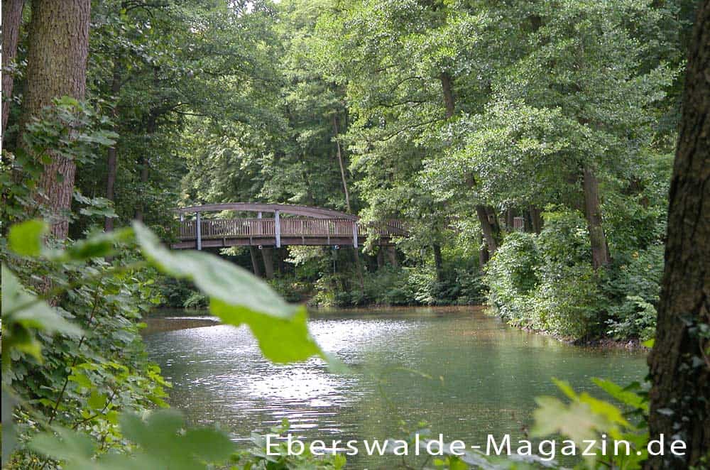 Der einzigartige Werbellinkanal in Brandenburg Der einzigartige Werbellinkanal in Brandenburg