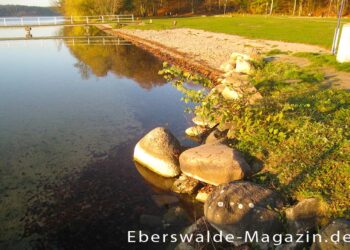 Badestelle am Werbellinsee