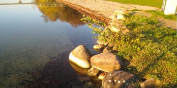 Badestelle am Werbellinsee