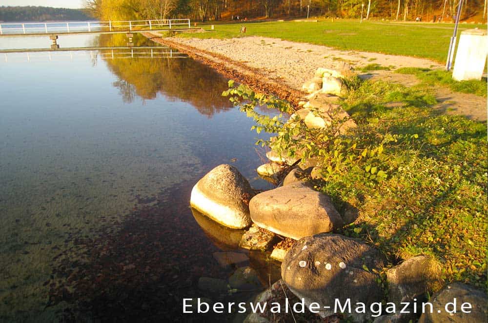 Badestelle am Werbellinsee