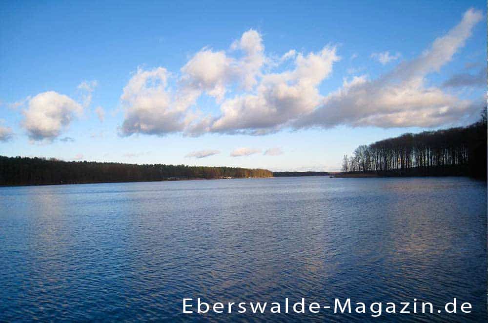 Werbellinsee entdecken
