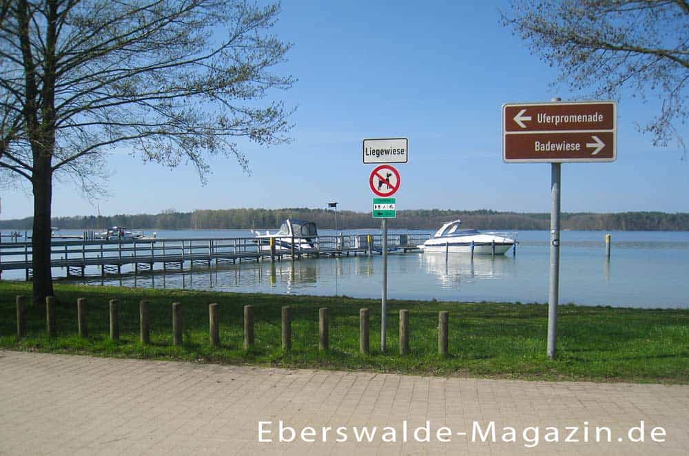 Der Werbellinsee im Barnim