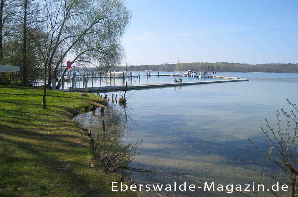 Blick auf den Werbellinsee