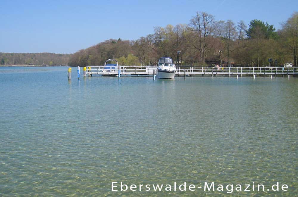 Blick auf die Marina am Werbellinsee