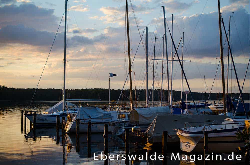 Romantischer Sonnenuntergang am Werbellinsee