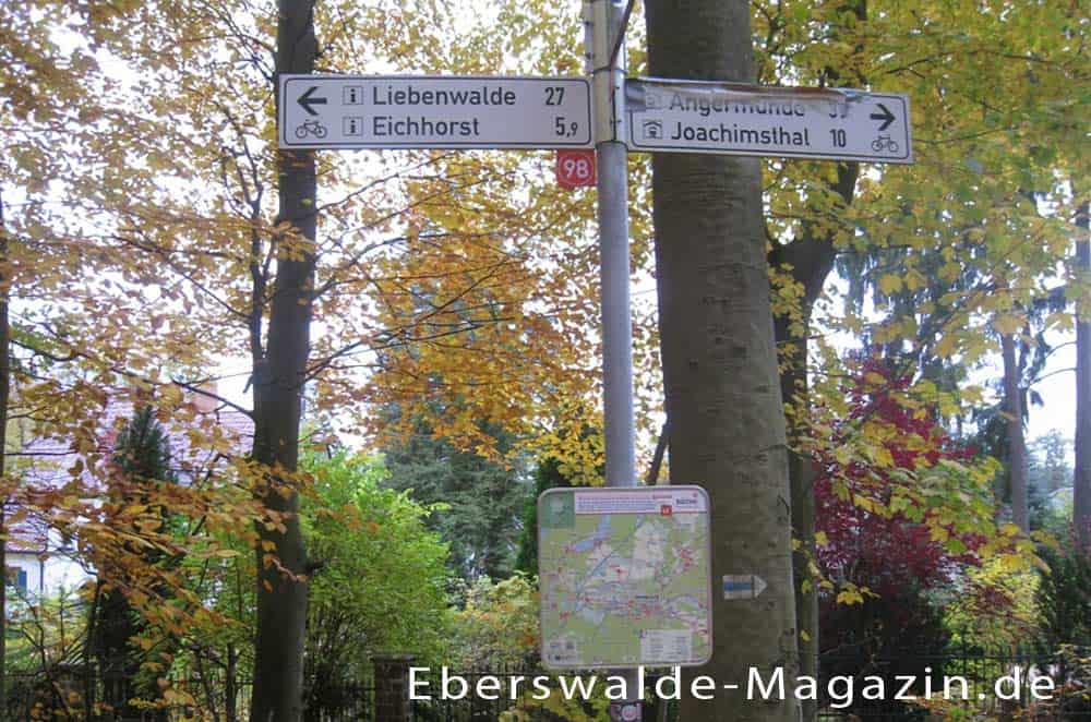 Wanderweg am Werbellinsee