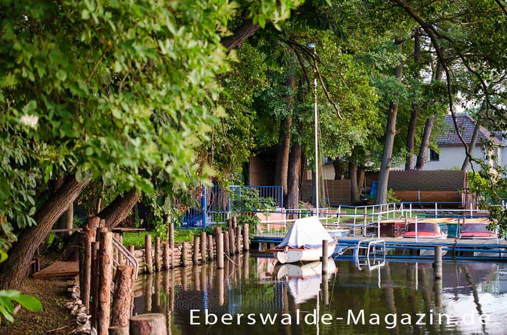 Idyllische Ecken für Boote am Werbellinsee