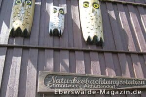 Mehr über den Artikel erfahren Ausflugstipp Althüttendorf – Naturbeobachtung ganzjährig am Eulenturm