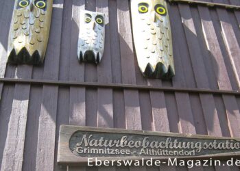 Der Eulenturm in Althüttendorf als Naturbeobachtungspunkt
