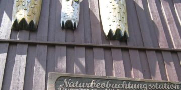 Der Eulenturm in Althüttendorf als Naturbeobachtungspunkt